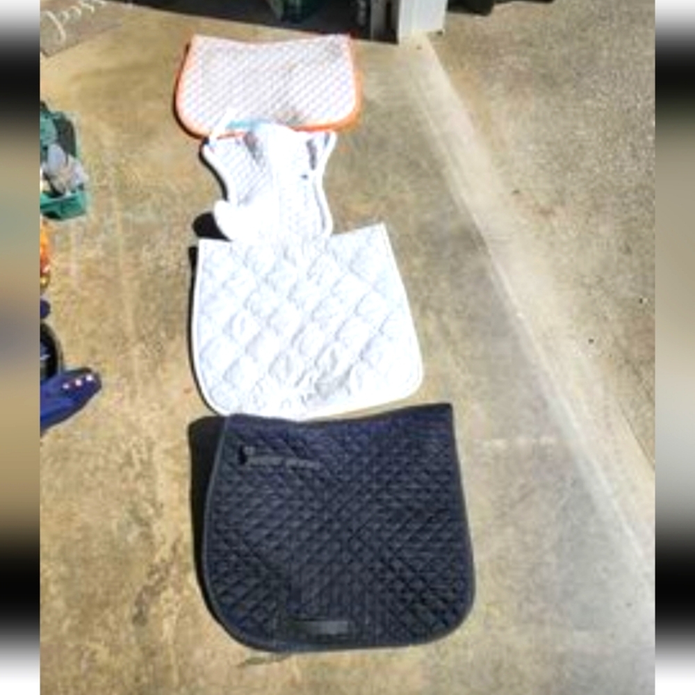 Dressage pad- white with orange piping (top)